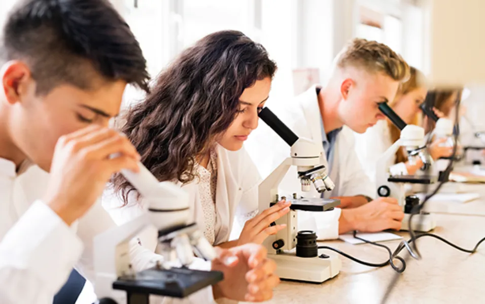 Groupe d'étudiants réalisant une analyse à l'aide d'un microscope.