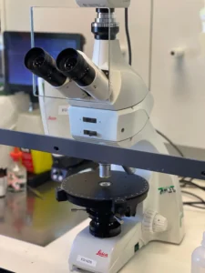 Microscope pour analyse en laboratoire