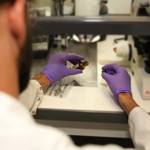 Préparation à une analyse d'un échantillon contenant de l'amiante