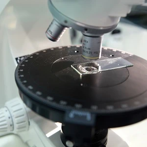 technicien-laboratoire-microscope.webp