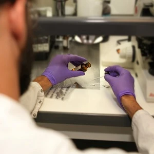 technicien-laboratoire.webp